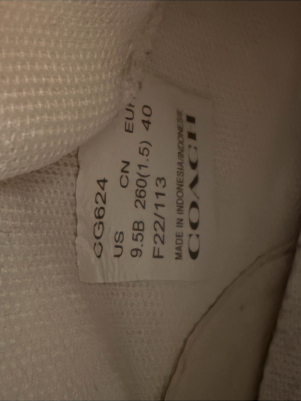 Coach White Canvas Sneaker - Picture 5 of 5